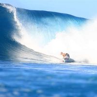 Leigh Drogen的照片