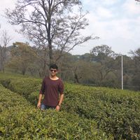 Bhoomit Shah的照片