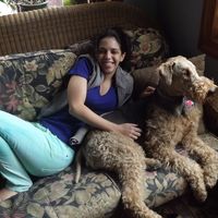 Photos de Sheu Tomá