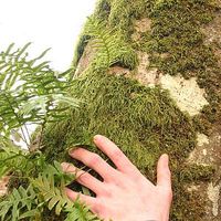 Jacob Audrey's Photo