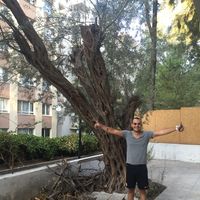 Melih Gökbel的照片