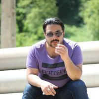 Omid Palizban的照片