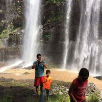 Martin Perez的照片