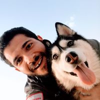 Ahmad Elsharkawy的照片