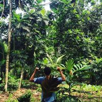 Daniel Batalla's Photo