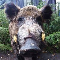 Lukasz Kaleta's Photo