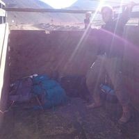 Le foto di Bruno Roche