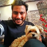 Rishabh prakash Mishra的照片