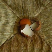 Norbert Skrzyński's Photo