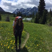 Taylor Ogden的照片