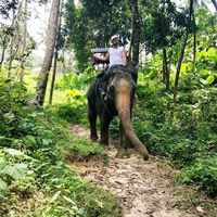 Милорад Стевовић的照片