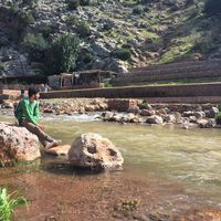 Mohamed Alami's Photo