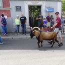 Foto de Bauernmarkt Ramstein/Farmers market 06.0kt.2024