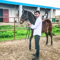 Danial Alavi的照片