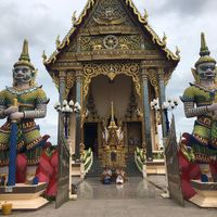 Pauline Hensch的照片