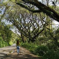 Candida Miñana's Photo