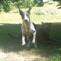 Taijha Balance's Photo