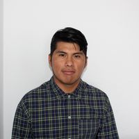 Fernando Avila Mamani的照片
