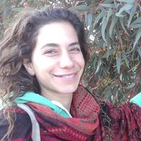 tamar abadi的照片