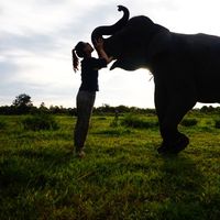 Sun Young Kim的照片