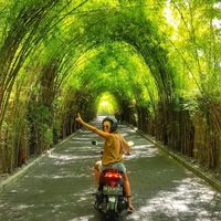 Dessy Krasimirova's Photo