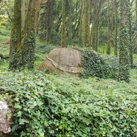 Gonçalo Fialho的照片