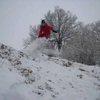 Fotos de Louis Rattray