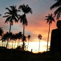 Fotos de Anya Harutyunyan