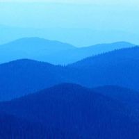 Rendezvous Vishy's Photo