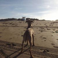 Gonzalo Aguirre's Photo