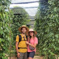 Enzo et Laurie's Photo