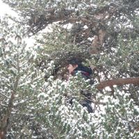 Amélie Lacout's Photo