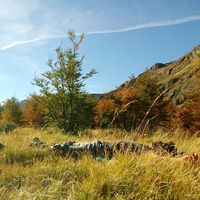 Fotos de Rene Lopez Ferla