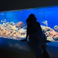 Фотографии пользователя Daeja Henderson