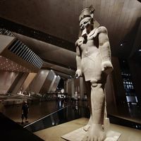 Ahmed Hassan's Photo