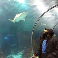 Fotos de Kanwarnain Singh