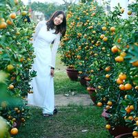 Thuong Nguyen's Photo