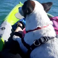 Alejandra Sanchez's Photo