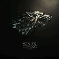 Maxim Metias's Photo