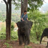 Фотографии пользователя Stéphanie Favre Victoire