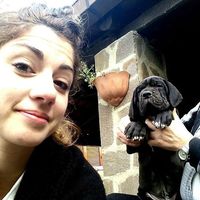 Gloria Alfano的照片