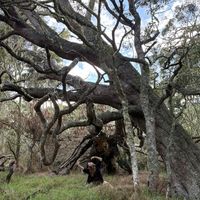 Kelly Bushell的照片