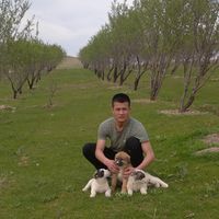 Sanʼatbek Mengliyev's Photo