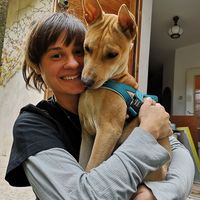 Sofia Correa Broander的照片