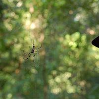 Alex Gilbert's Photo