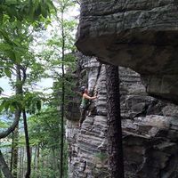 Angie Holbrook's Photo