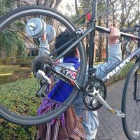 Fotos de Makoto Takeno