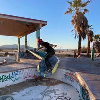 Le foto di TAYLOR DOLPHIN