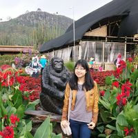 Sutasinee Srichai's Photo