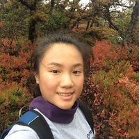 Ferisca Putri的照片